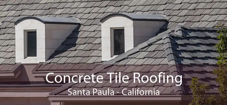 Concrete Tile Roofing Santa Paula - California