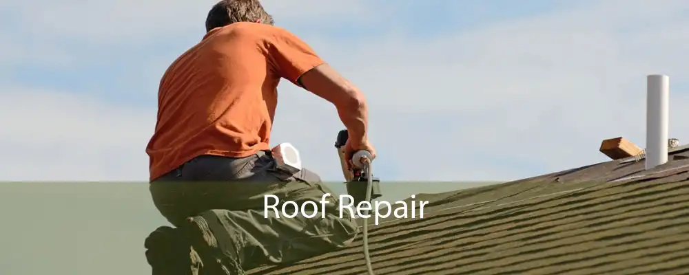 Roof Repair 