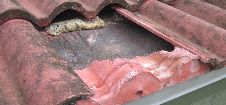 Concrete Ridge Tile Roofing Santa Paula