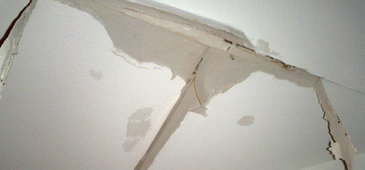 Metal Roof Repair Santa Paula